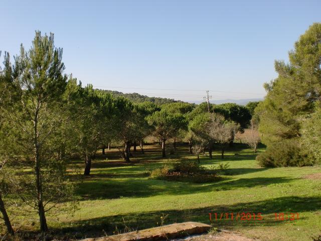 Puig Gros Hotel Montras Exterior photo